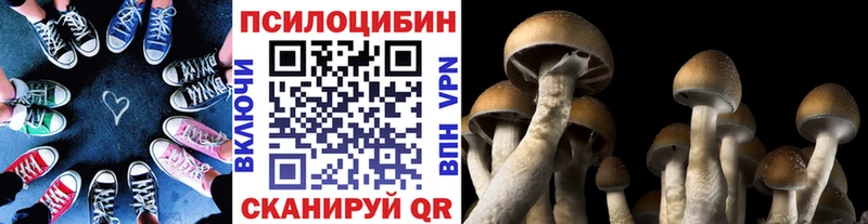 Псилоцибиновые грибы мухоморы  где купить   Новочеркасск 